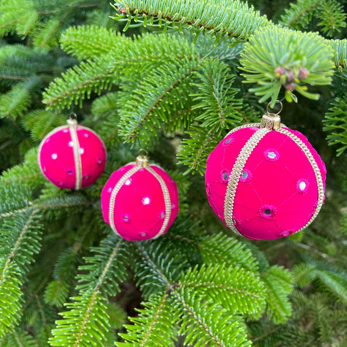 Three bright pink Salina Baubles with mirror detailing hanging from a lush pine tree, captured in a natural outdoor setting.